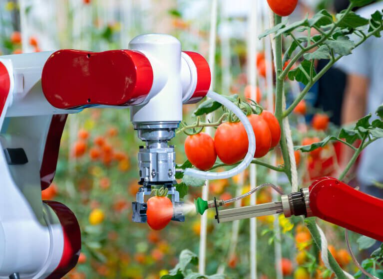 AgTech – Fertile ground for innovation