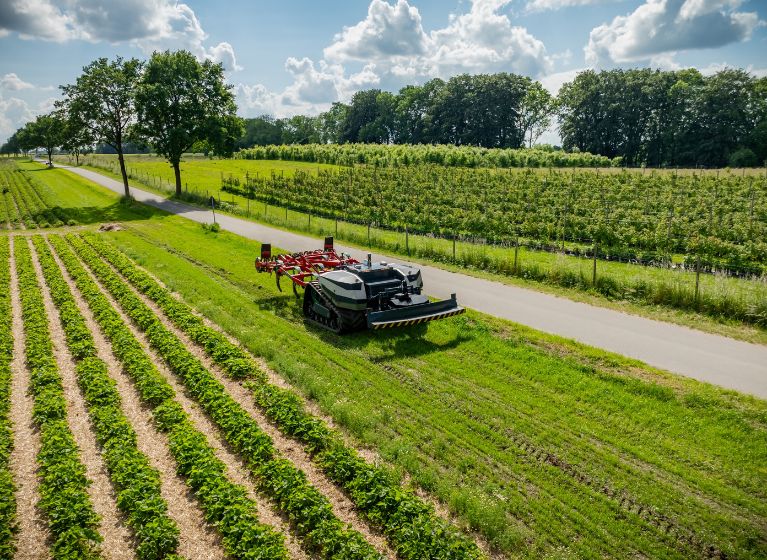 From paddock to patent: Trends in digital agriculture innovation
