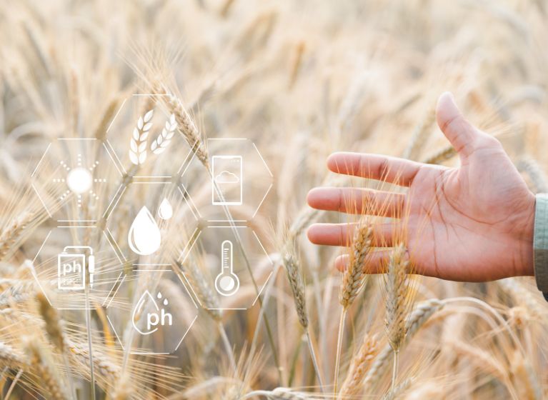 From patent to plate: Emerging fertiliser technologies offer supply chain resilience and environmental benefits